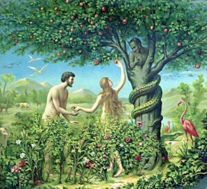 Tree Of Knowledge